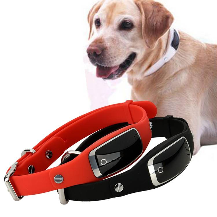 PET GPS COLLAR