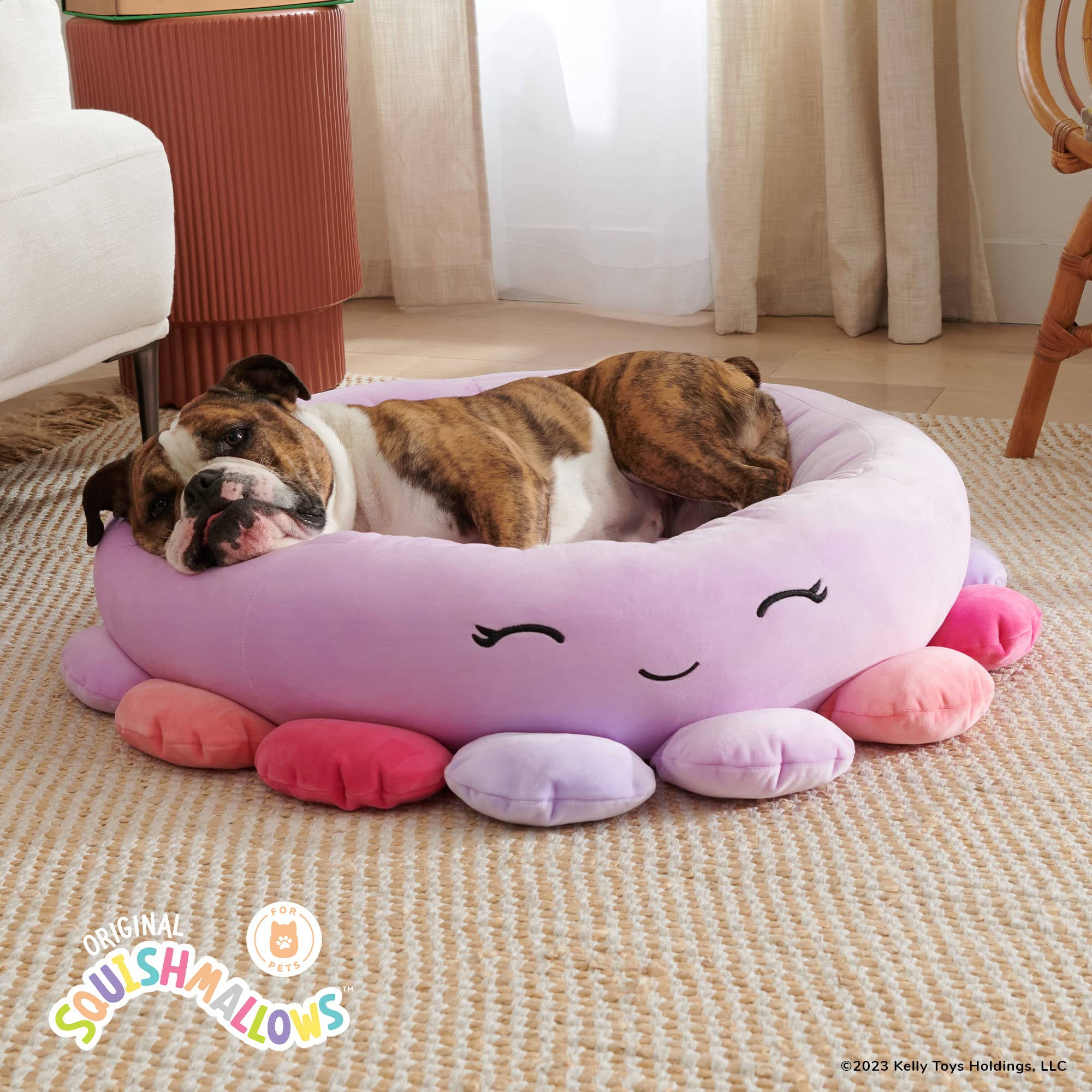 PET BEDS
