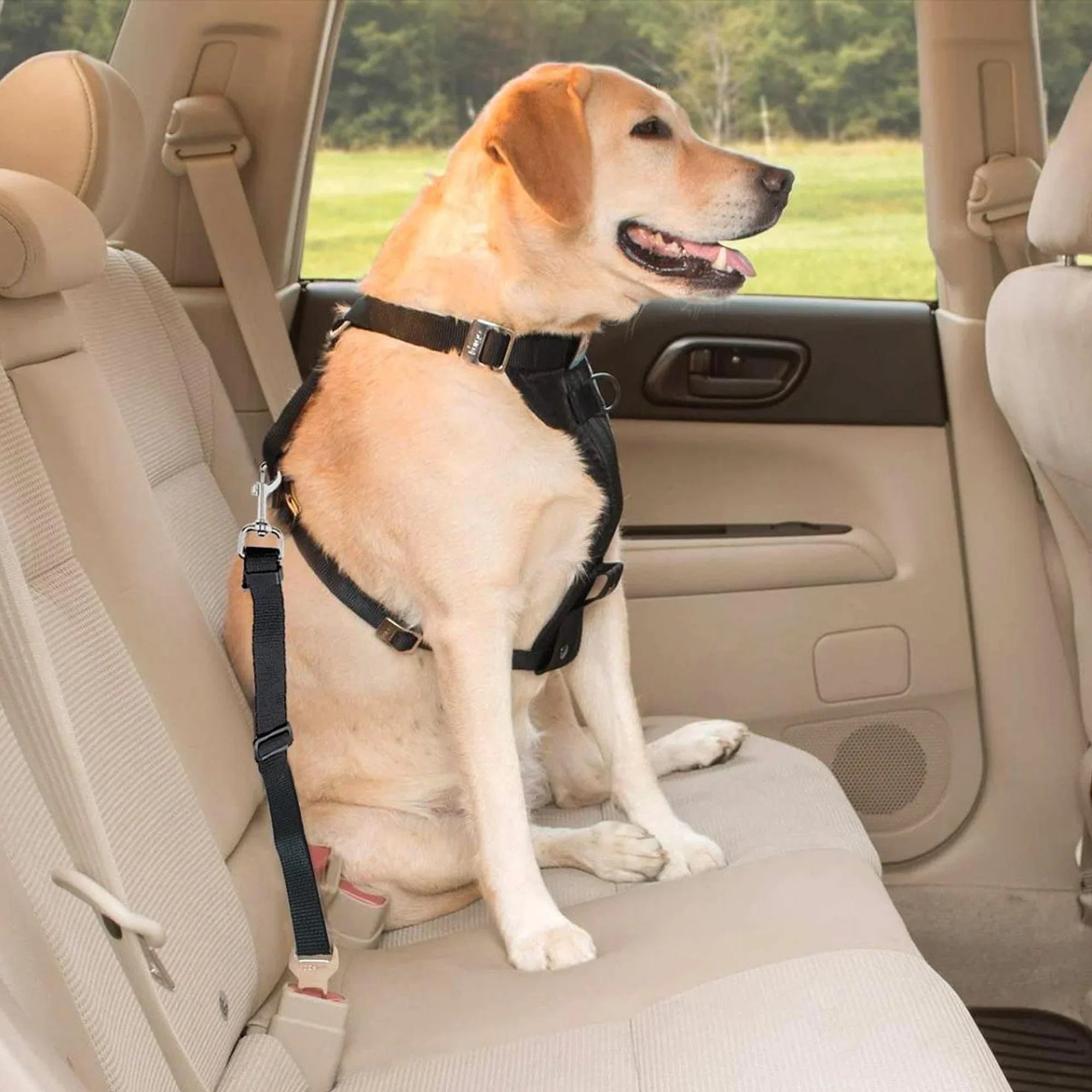 PET CAR SEAT BELT